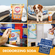 ARM & HAMMER 14 Ounce (Pack of 24) / Fridge-n-Freezer Odor Absorber- 12 pack / Orange Baking Soda