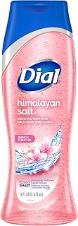 Dial Body Wash, Skin Therapy Himalayan Pink Salt & Water Lily, 16 Fluid Ounces
