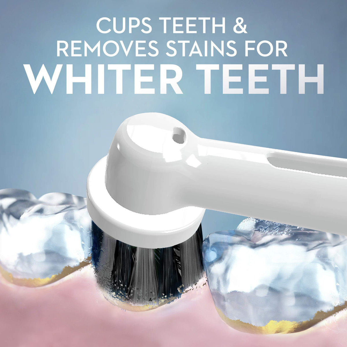Oral-B 3 Count (Pack of 5) / Coffee / 1 Toothbrush Replacement Heads