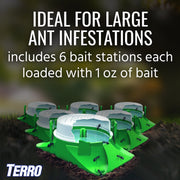 2-Pack Outdoor Liquid Ant Baits-12 Traps by Terro – 12 Bait Stations, Clear, Model T1806SR