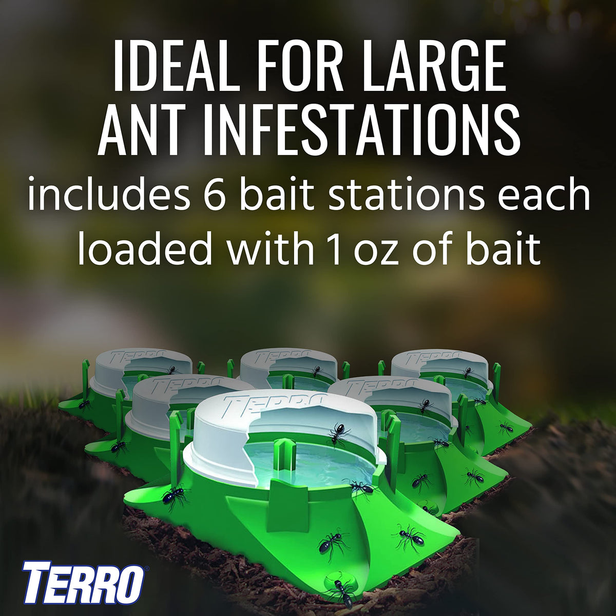 2-Pack Outdoor Liquid Ant Baits-12 Traps by Terro – 12 Bait Stations, Clear, Model T1806SR