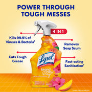Lysol 32 Fl Oz (Pack of 2) / Mango and Hibiscus / Mango All-Purpose Cleaners