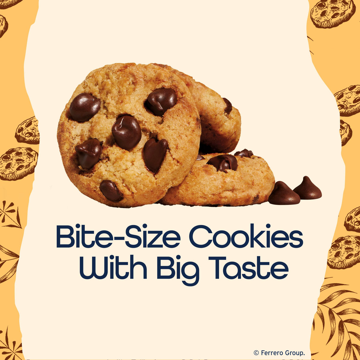 Chocolate Chip Cookies by Famous Amos – 9 Ounce (Pack of 1), Model 00076677057173