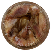 Crown Prince Natural / 1.5 Ounce (Pack of 1) / 1 Anchovies