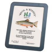 Verticalmate Certificate Holder by Officemate – Plastic, Gray, Model 29172