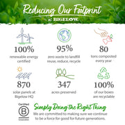 Bigelow Benefits Stay Well Lemon Echinacea Keurig K-Cups Pods Herbal Tea by Bigelow Tea – 22 Count (Pack of 4), Brown, Pack of 4, Model 5000359645