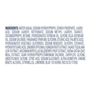 Dove 30.6 Fl Oz (Pack of 1) / Blueberry / Blue Body Washes