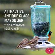 Mason Jar Wild Bird Feeder by Perky-Pet – No Size, 1 pounds, Glass, Blue