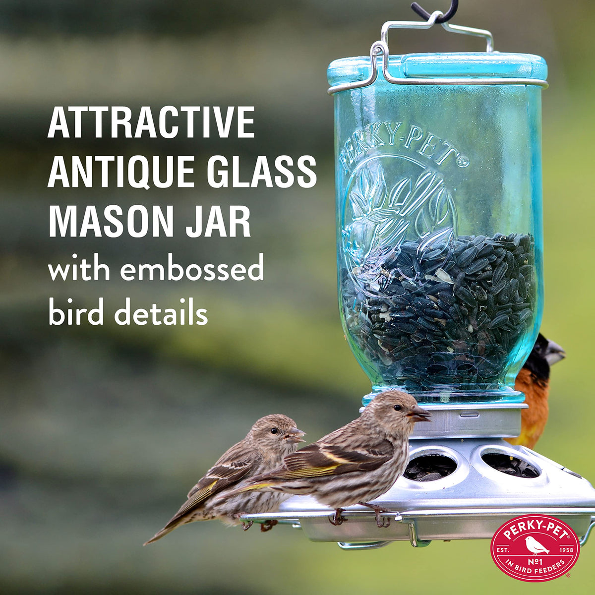 Mason Jar Wild Bird Feeder by Perky-Pet – No Size, 1 pounds, Glass, Blue