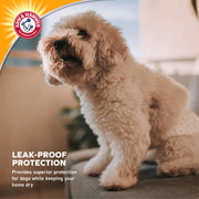 Small Male Dog Wraps by ARM & HAMMER – Small (Pack of 6), Microfiber, white, Pack of 6, Model FF13881