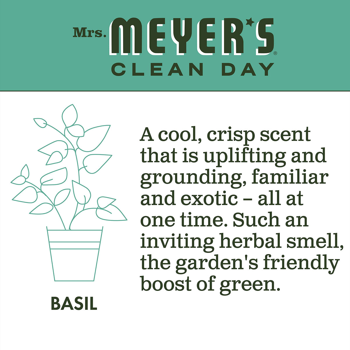 Mrs. MEYER'S 16 Fl Oz (Pack of 2) / Basil / A340 Dish Soap