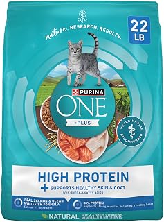 Purina ONE Plus High Protein Cat Food Dry Salmon and Ocean Whitefish Cat Skin and Coat Health Formula - 22 lb. Bag