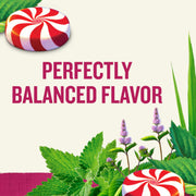 Tea, Peppermint, 20 ct by Celestial Seasonings – 20 Count (Pack of 1), Box Color, Model CES00008