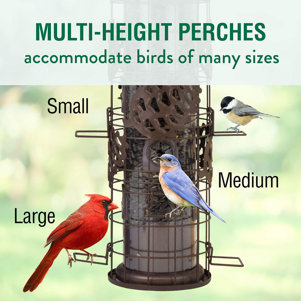 SBG101 Squirrel Off Max Pinecone Bird Feeder with Flexports by Perky-Pet – 1.75 pounds, Metal, Bronze, Model SBG101-1SR
