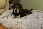 Extra Large by Armarkat – Extra Large, Soft plush, Silver gray, Model C71NHS