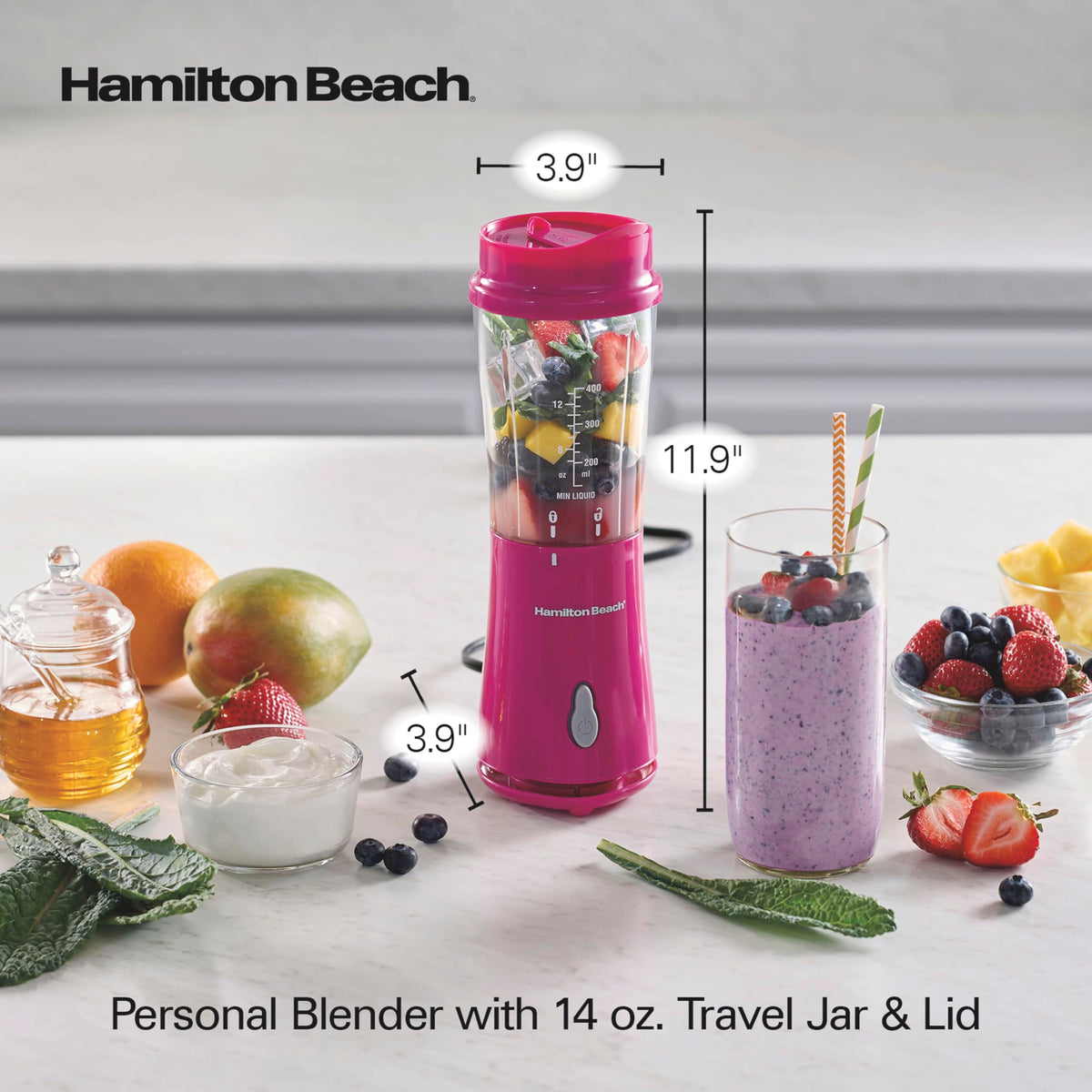Hamilton Beach Raspberry / 14 oz. (Pack of 4) / 1 Jar Small Appliances