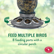 Mason Jar Wild Bird Feeder by Perky-Pet – No Size, 1 pounds, Glass, Blue