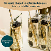 Libbey Standard Packaging / 1 / Modern Champagne Glasses