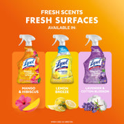 Lysol 32 Fl Oz (Pack of 2) / Mango and Hibiscus / Mango All-Purpose Cleaners