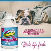Disinfectant Concentrate and Odor Eliminator by OdoBan – 128 Fl Oz (Pack of 2), Plastic, Clear, Pack of 2, Model 911801