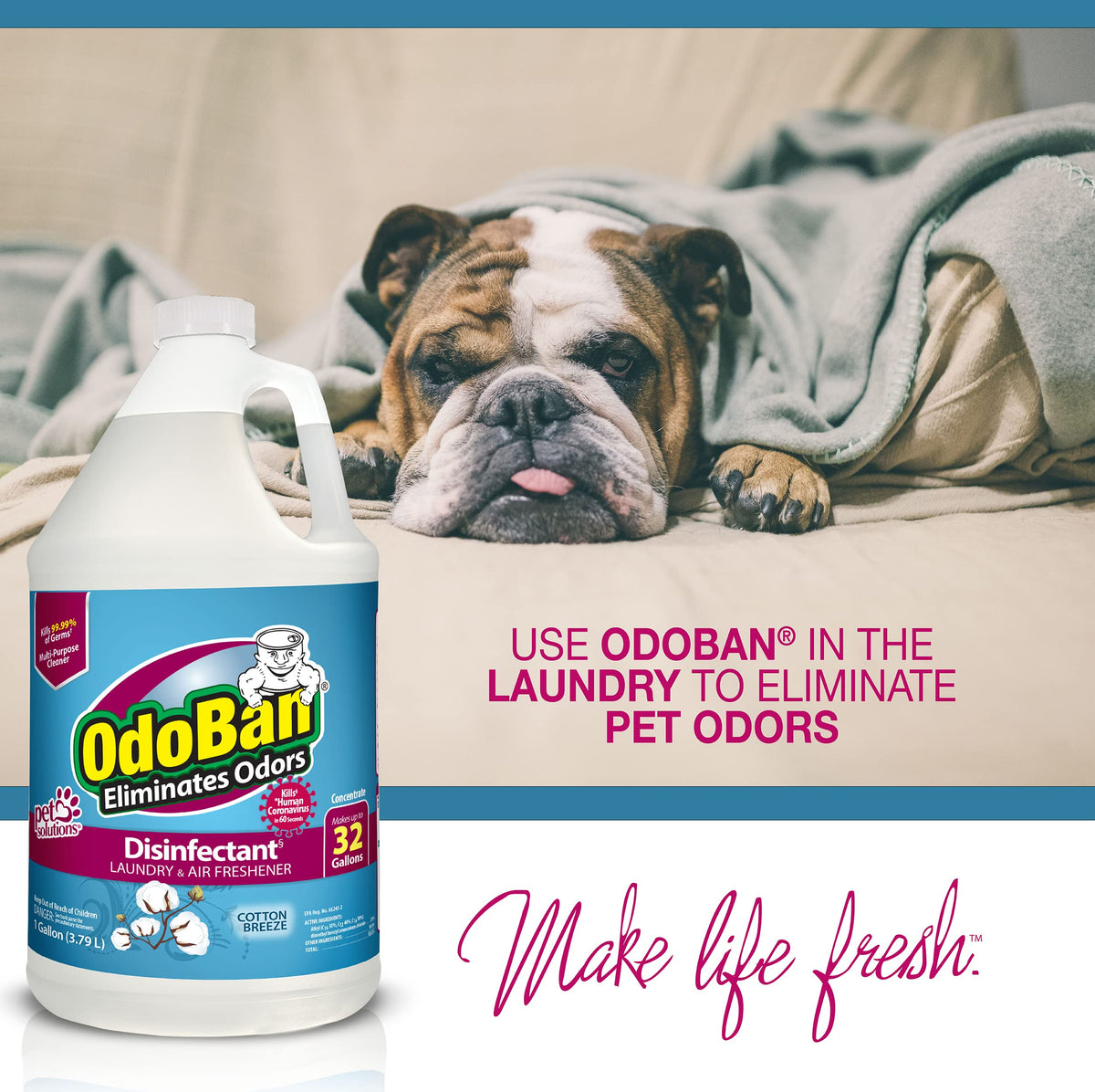 Disinfectant Concentrate and Odor Eliminator by OdoBan – 128 Fl Oz (Pack of 2), Plastic, Clear, Pack of 2, Model 911801