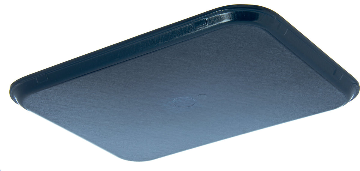 Fiberglass Hospital Fast Food Tray by DINEX – 20" x 15" x 0.5", Blue, Model DX1089M50