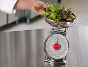 Escali Mercado Dial Scale 11 Lb X 1 Oz by San Jamar – 0.0 ounces, Metal - other, Silver, Model SCDLB11