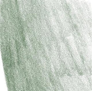 Faber-Castell Pitt Pastel Pencil - Juniper Green #165