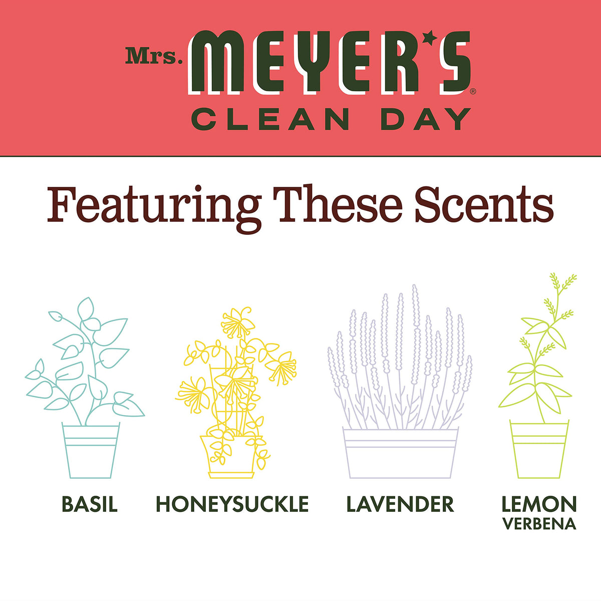 Mrs. MEYER'S Rhubarb(Pack of 3) / 12.5 Fl Oz (Pack of 3) / Rhubarb Hand Wash