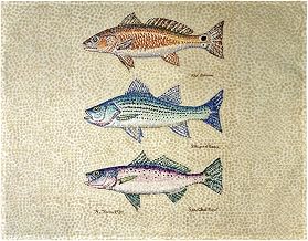 Interiors Creek Fish Place Mat Set of 4