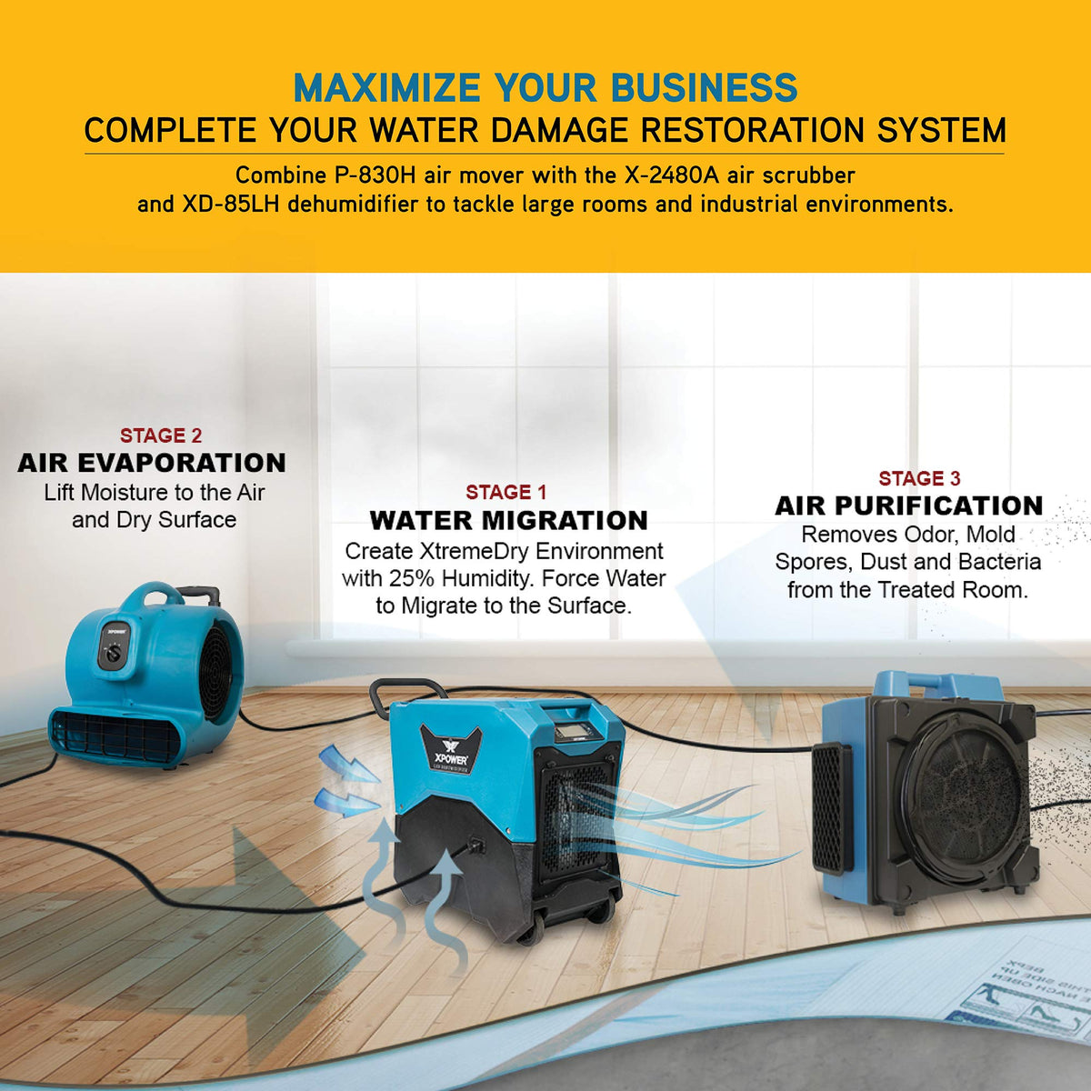 XPOWER 15.9" x 18.7" x 18.7" / Pro P-830H / Blue Air Dryers, Blowers & Blades