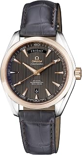 Omega Seamaster Aqua Terra Automatic Movement Grey Dial Men's Watch 231.23.42.22.06.001