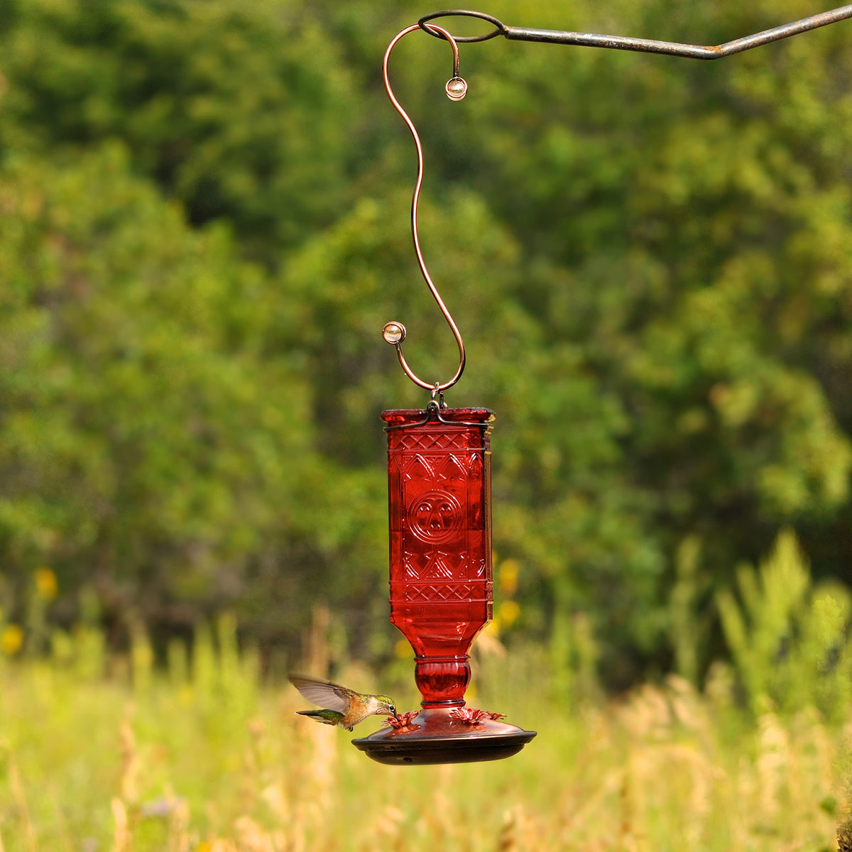Hanging Hook by Perky-Pet – Alloy Steel, Copper