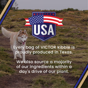 Select Gluten-Free Beef Meal & Brown Rice Dry Dog Food by VICTOR – 5 Pound (Pack of 1), Brown, Model 2336
