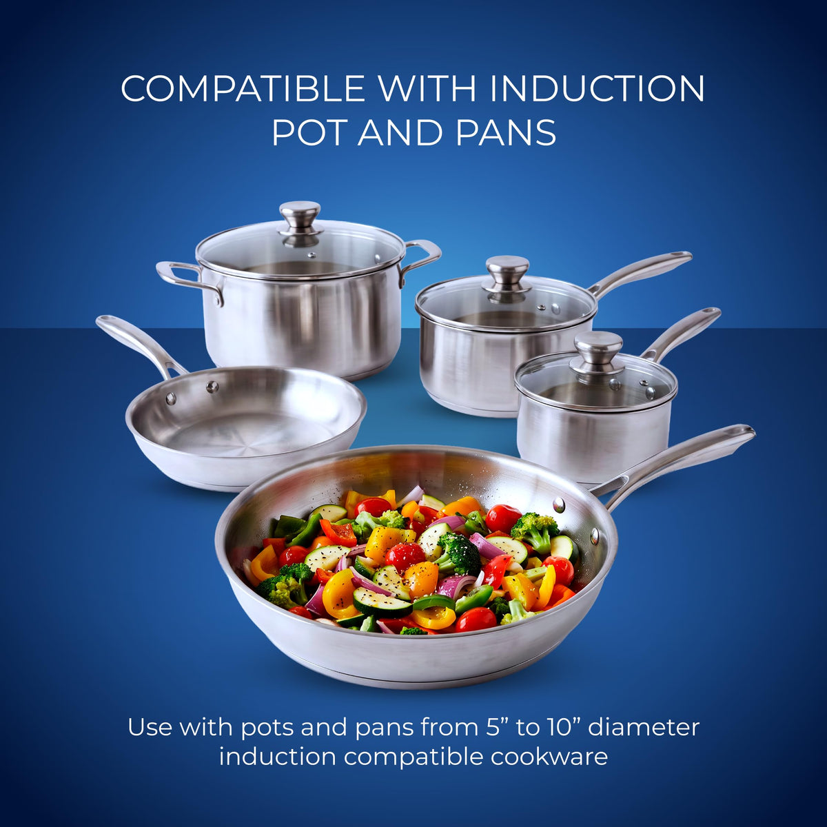 Commercial Induction Cooktop by Eurodib – Stainless Steel, Silver, Model CI1800