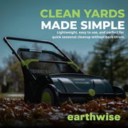 21-Inch Width Leaf & Grass Push Lawn Sweeper by Earthwise – 21" Width, Pine, Black, Model LSW70021