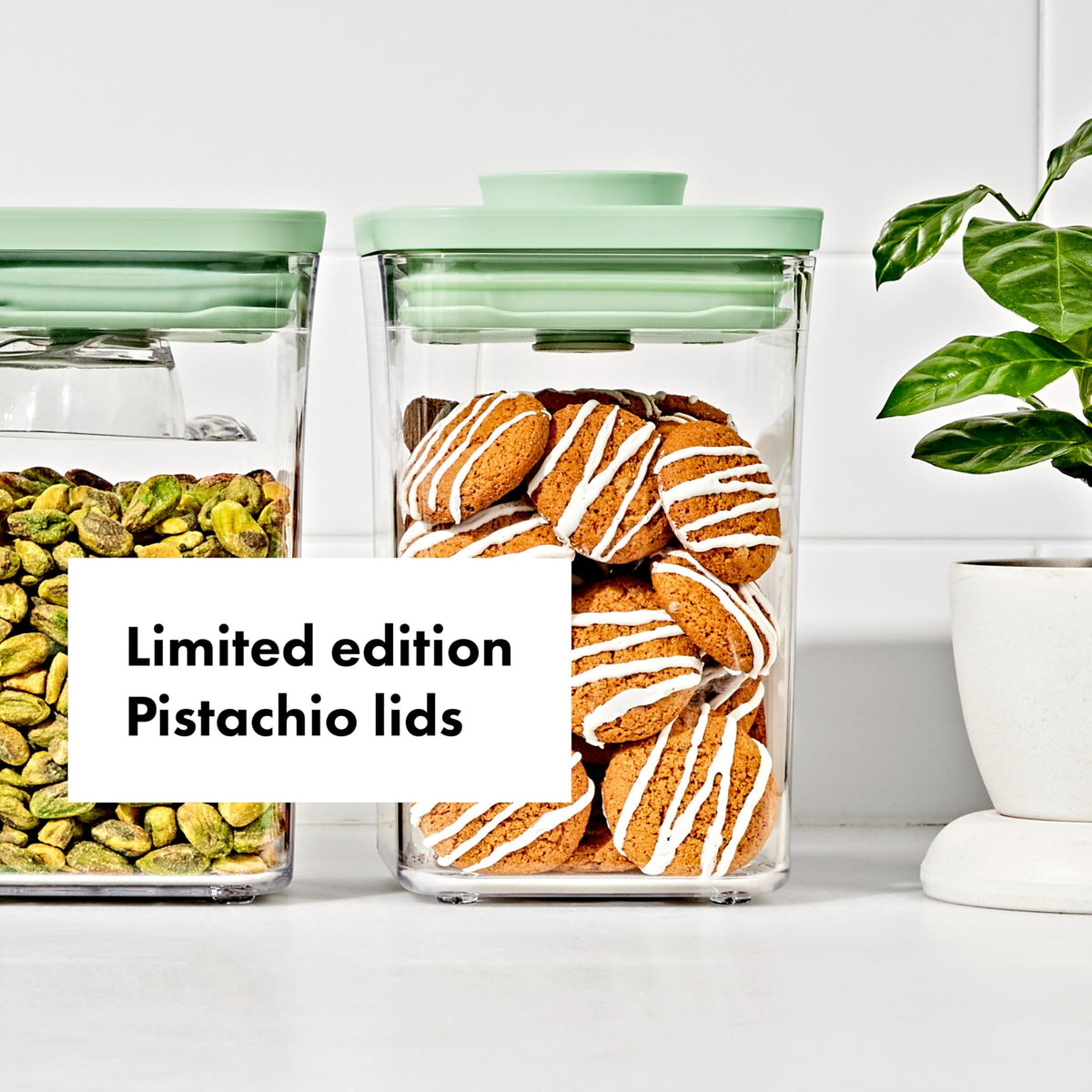 OXO Pistachio / 3 CT (Pack of 2) / 3 Piece Set - Pistachio Food Storage
