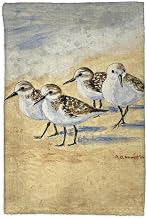 Dick's Sanderlings Kitchen Towel - 16x25
