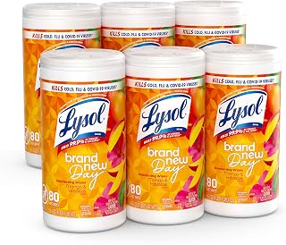 Lysol Brand New Day Disinfecting Wipes - Mango and Hibiscus Scent - 80 / Canister - 6 / Carton - White