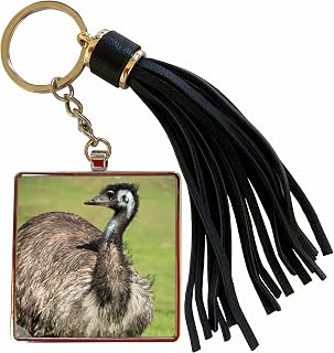 3dRose Australia, South Australia, Adelaide. Large flightless Emu. Tassel Key Chain