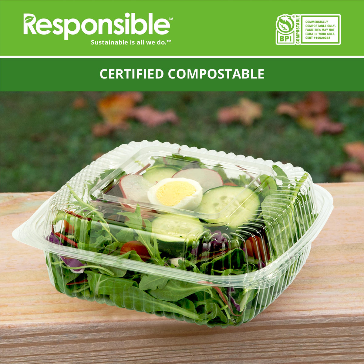 8" x 8" inch Clear Hinged Container by Responsible Products – 220.16 cubic_inches, Other, Clear, Model RP-PLA8X8HC-250-250