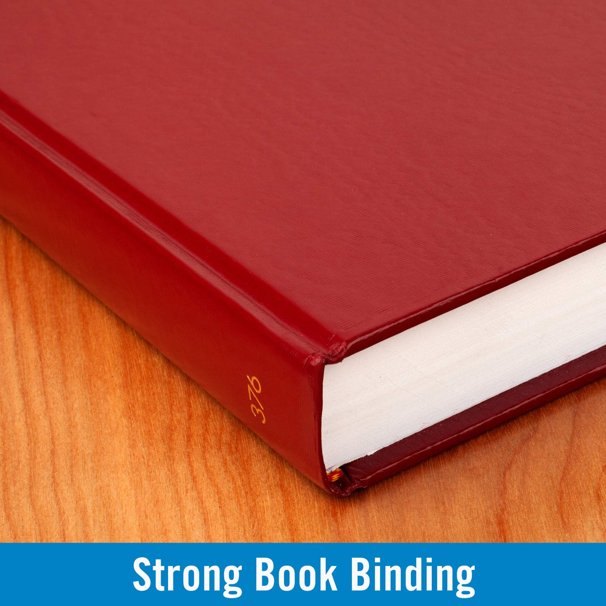 Standard Diary Recycled Daily Diary by AT-A-GLANCE – 7.625 x 12.375 inches, Red, Model SD376-13