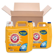 ARM & HAMMER Clean Burst / 255 Fl Oz (Pack of 1) / 1 Liquid Detergent