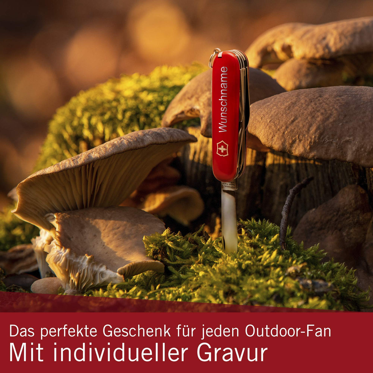 Fieldmaster Taschenmesser mit Gravur I Geschenk für Männer zum Geburtstag I Messer by Victorinox – Stainless Steel, Silver, Model fieldmaster_gravur