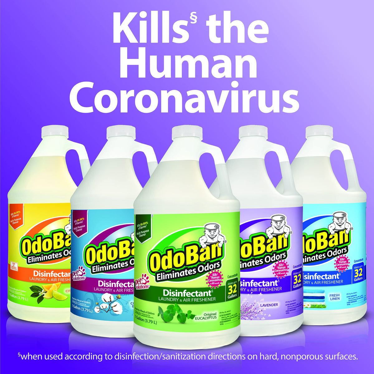 Disinfectant Concentrate and Odor Eliminator by OdoBan – 128 Fl Oz (Pack of 1), plastic, Clear, Model 911162-G4 /DM