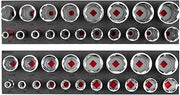 TEKTON 1/2 Inch Drive 6-Point Socket Set, 38-Piece | SHD92808