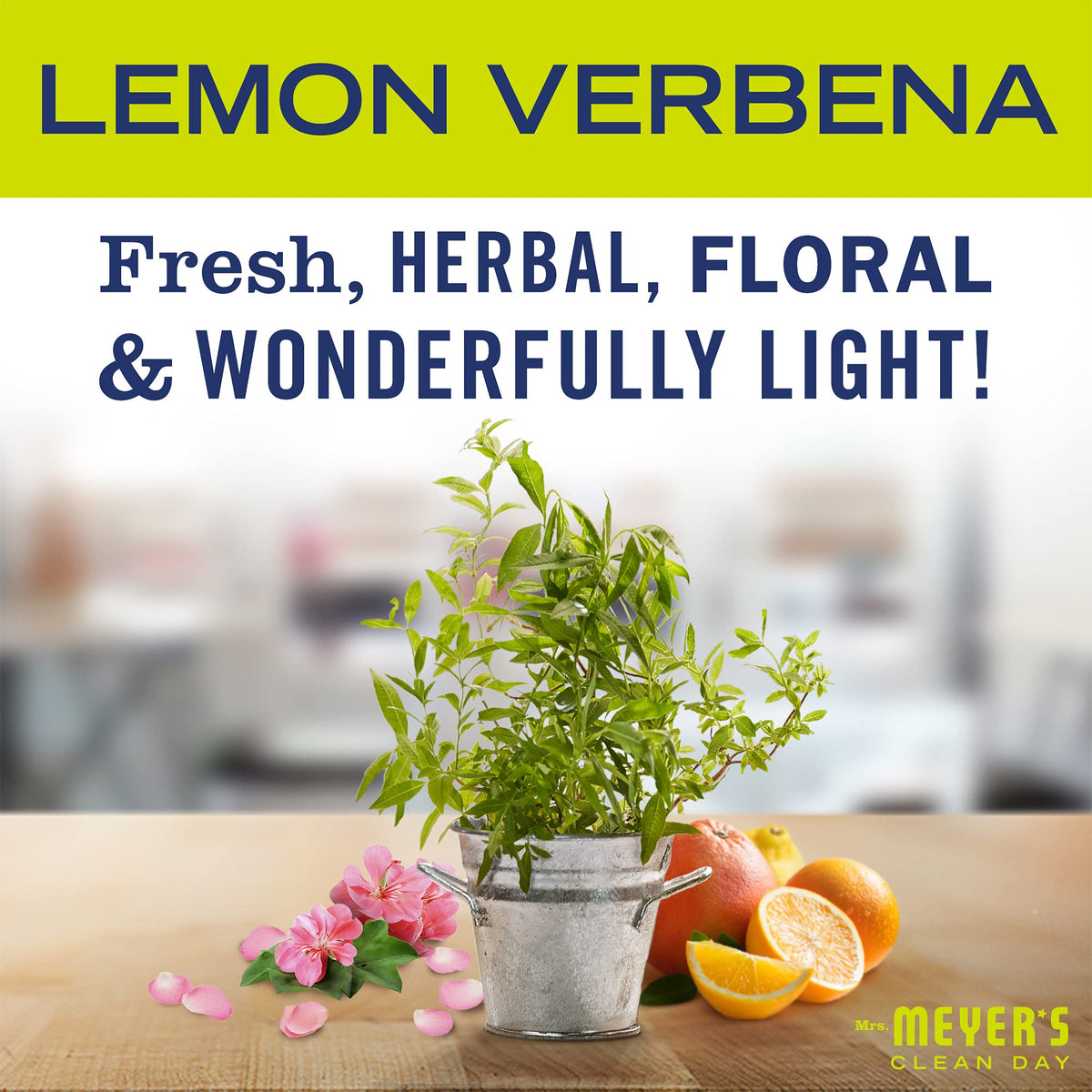 Mrs. MEYER'S Lemon Verbena / 44.5 Fl Oz (Pack of 1) / Kitchen Basics Set Dish Soap