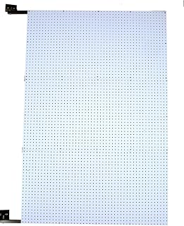 Triton Products W1-D XtraWall Wall Mount Double-Sided Polypropylene Swing Panel Pegboard 48-Inch W by 72-Inch H by 1-1/2-Inch D, White/Black