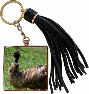3dRose Emu Walking with Pride Tassel Key Chain