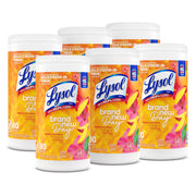 Disinfectant Wipes by Lysol – 80 Count (Pack of 6), Bamboo, White, Pack of 6, Model 97181CT